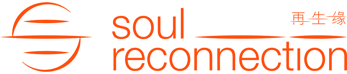 Soul Reconnection